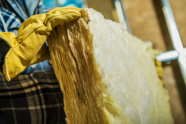 Best Insulation Maintenance and Repair in Streator, IL